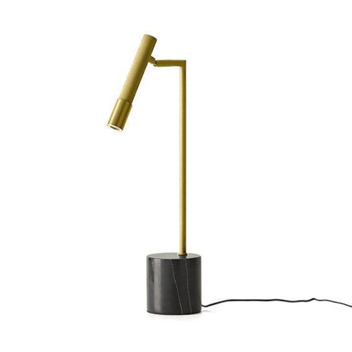 Modern floor lamp with aged gold adjustable arm and black base on a white background